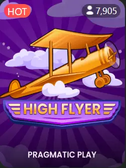 High Flyer